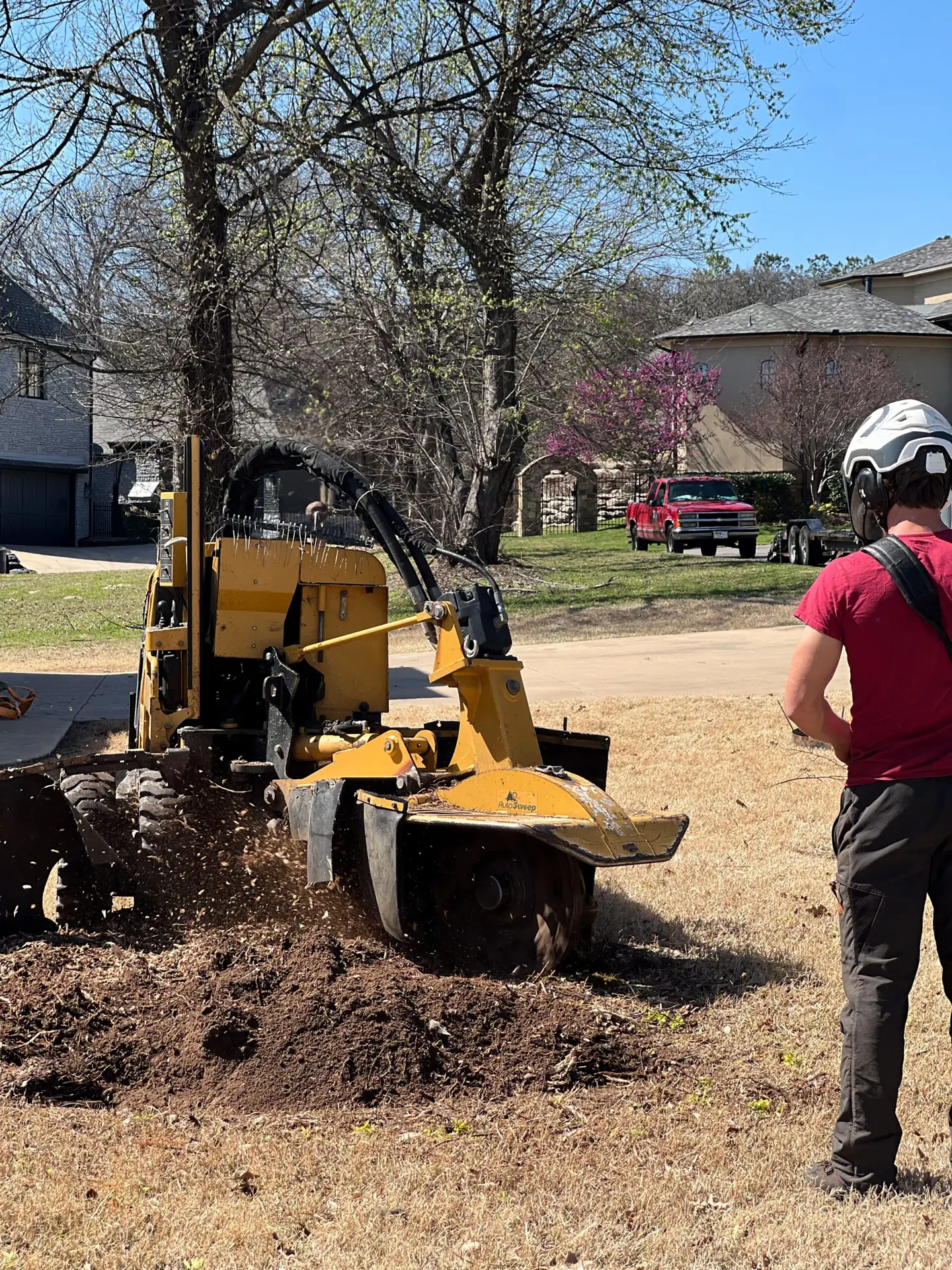 An image of paragon tree care's stump grinder in action