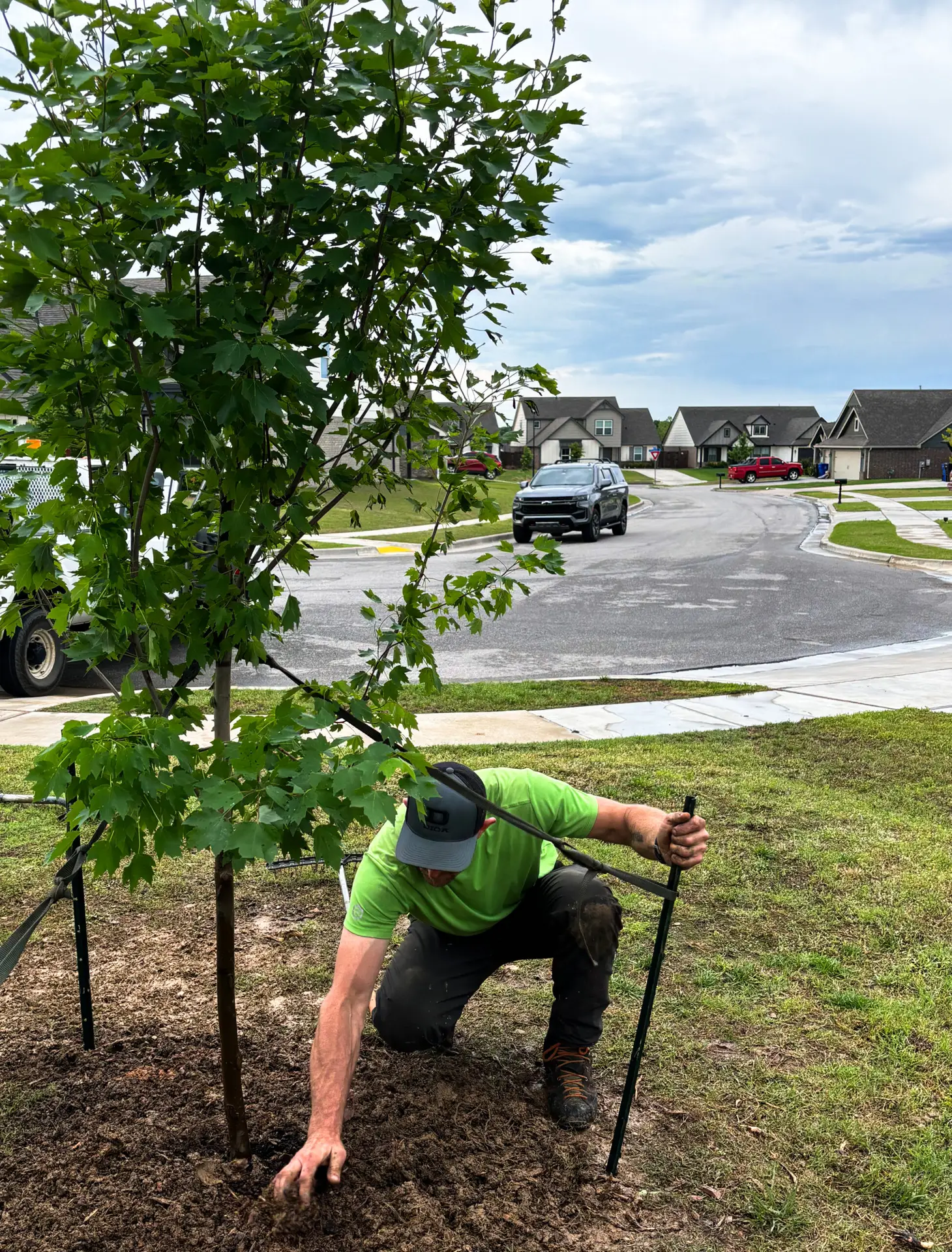 An image of a tree planting specialist performing a tree planting service for a Tulsa customer